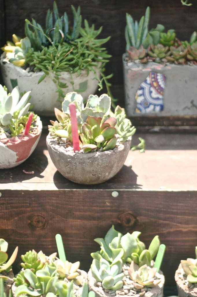 patchwork-show-long-beach-caifornia