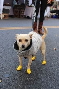 patchwork santa ana fall 2014