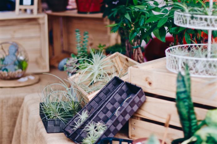 Patchwork Show Santa Ana Fall 2016