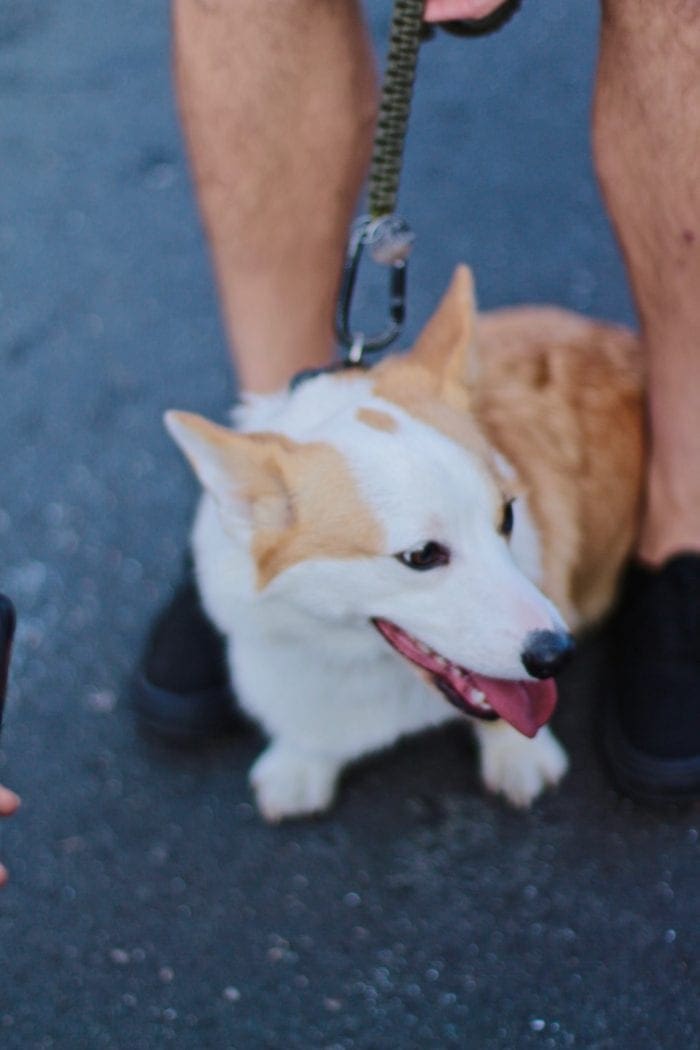 Patchwork Show Santa Ana Craft Fair