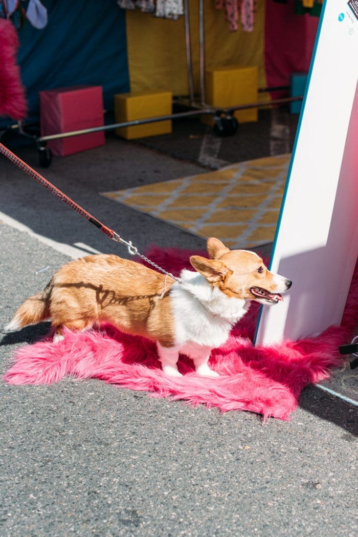 Patchwork Show Santa Ana Modern Maker Craft Show Festival