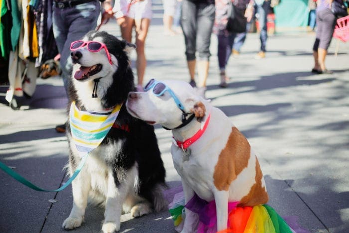 Patchwork Show Craft Fair festival Oakland California