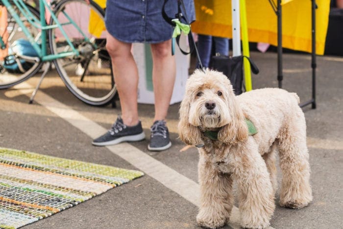 Patchwork Show Long Beach Modern Makers Festival California
