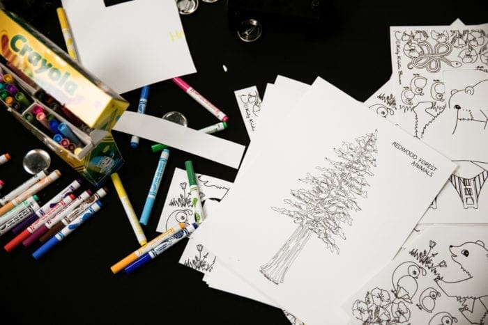 Patchwork Show Modern Makers Festival Craft Show California Santa Rosa