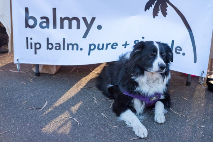 Patchwork Show Modern Makers Festival Craft Show California Long Beach