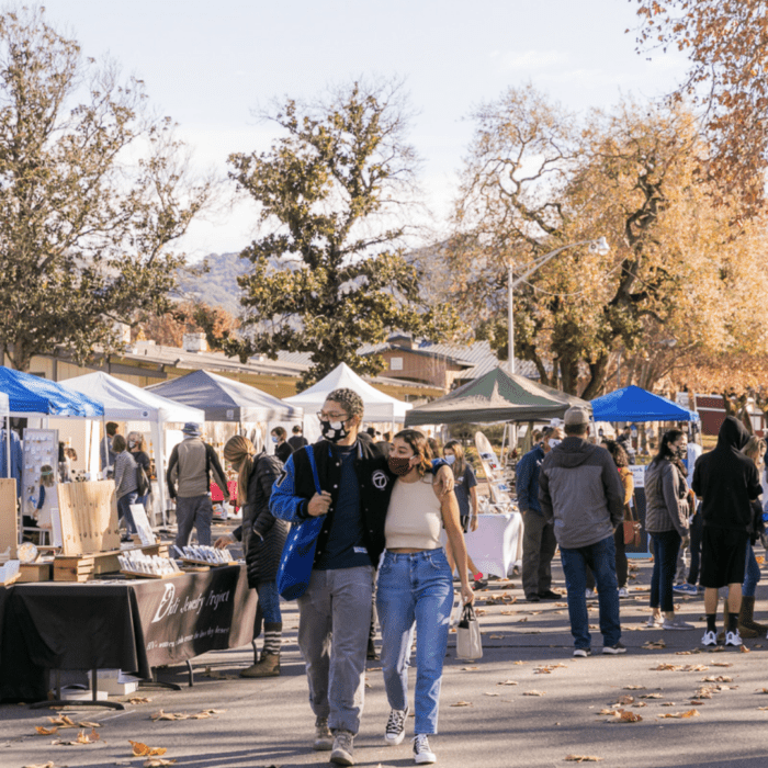 Patchwork Show Santa Rosa Winter 2020