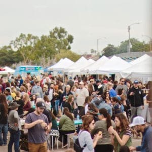 Craft Show Success Online Workshop