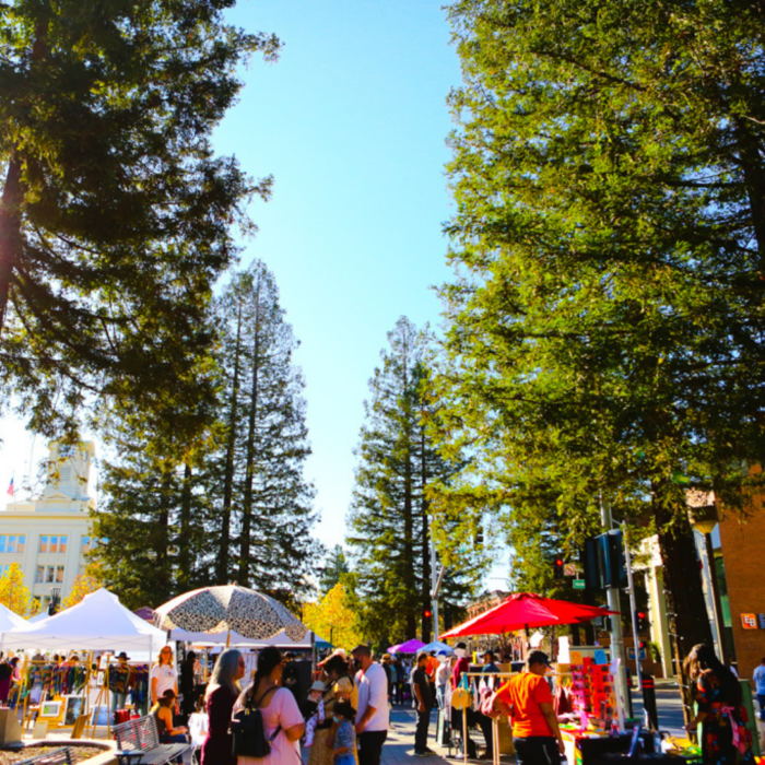 Patchwork Show Santa Rosa Fall 2021 – RECAP