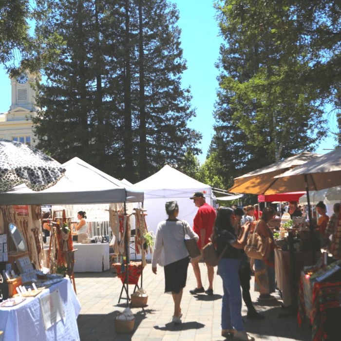 Patchwork Show Santa Rosa Spring 2022 – RECAP